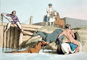 Bathing Horses, etched by the artist, published 1803