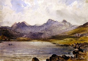 Near Llyn Crafrant, Wales