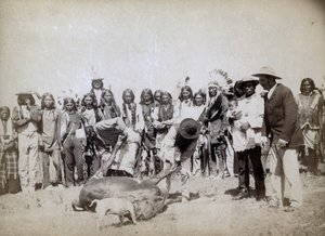Skinning Beef, 1891 by John C. H. Grabill