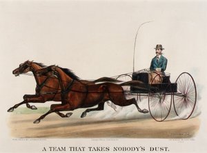 A Team That Takes Nobody