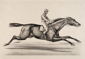 Emperor of Norfolk by John Cameron
