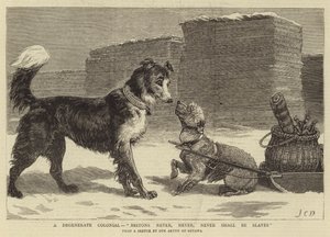 A Degenerate Colonial, Britons never, never, never shall be Slaves