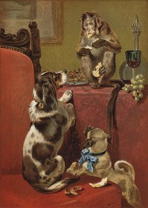 The Greedy Monkey