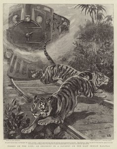 Tigers on the Line, an Incident in a Journey on the East Indian Railway by John Charlton