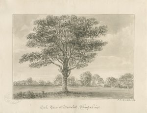 Boscobel - The Royal Oak by John Chessell Buckler