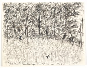 Vridsløsemagle. Group of Trees with Field in Front. Evening