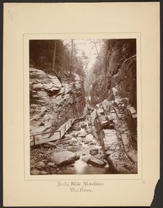 In the White Mountains: The Flume by John Coates Browne