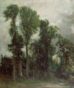 Trees at Hampstead by John Constable