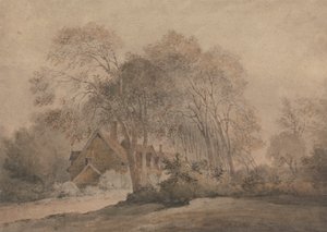 A House Among Trees