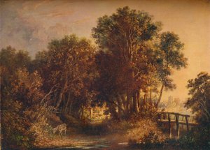 A Wooded Lane