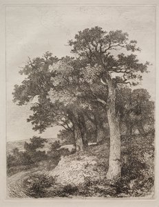 At Colney by John Crome