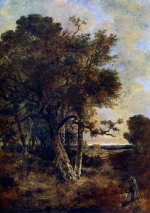 On the Skirts of the Forest