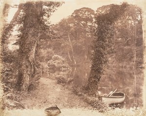 Upper Lake, 1853-56 by John Dillwyn Llewelyn