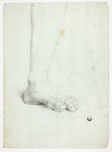 Left Leg of Standing Figure