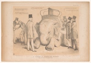 Caricature on the Appointment of Henry Hardinge as Governor of India (A Lesson in Elephant Riding! Studied from Nature in the Zoological Gardens) (HB Sketches series) by John Doyle