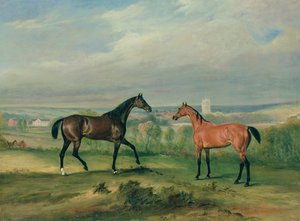 Count Bathyanys Favourite Hunters at Melton Mowbray