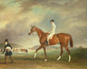 The Cur Chestnut Racehorse with Jockey Up on Newmarket Heath by John E. Ferneley