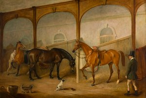 Tom of Lincoln and The Engineer in the Stables at Newport Lodge, Melton Mowbray, Leicestershire