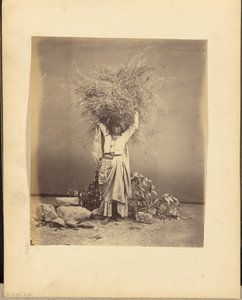Indian Peasant Young Woman Holding Twigs on Her Head