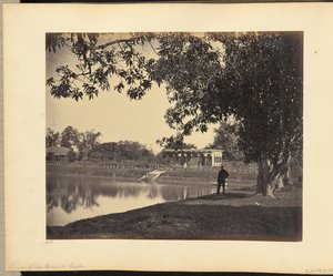 View in Rajah Ghosauls Garden