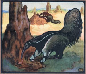 Anteater