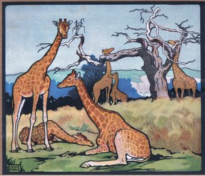 Giraffe