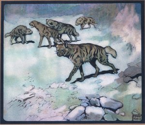 Hyenas
