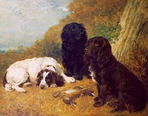 A Mid-Day Rest by John Emms