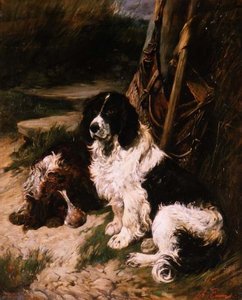 Brown and White and Black and White Spaniel by John Emms