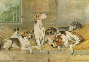 Hounds