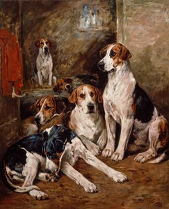 In the Kennel