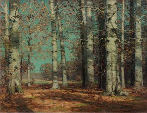 Autumn Beeches