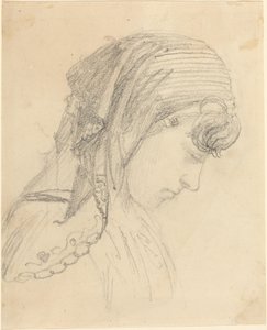 Head of a Woman in a Scarf, Looking Down