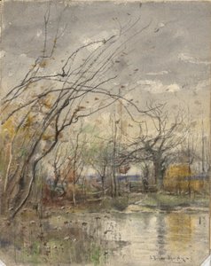 Landscape