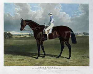 Bloomsbury, the Winner of the Derby Stakes at Epsom