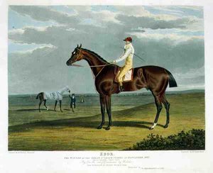 Ebor, Winner of the Great St. Leger at Doncaster
