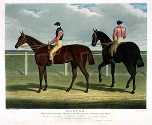 Rowton, the Winner of the Great St. Leger Stakes at Doncaster