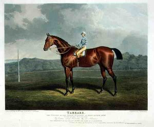 Tarrare, the Winner of the Great St. Leger at Doncaster