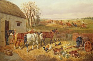 A Busy Farmyard