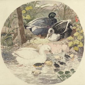 Ducks by John Frederick Herring