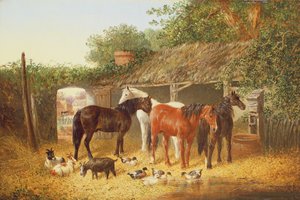 Farmyard Companions