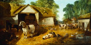 Meopham Farmyard