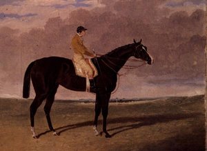 Queen of Trumps, a Bay Racehorse with Jockey