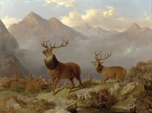 Stags and Hinds in a Highland Landscape by John Frederick Herring Junior