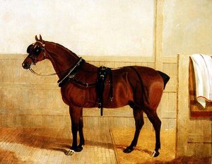 Prize Shire Horse in Harness by John Frederick Herring Senior