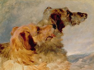 Two Deerhounds by John Frederick Herring Senior