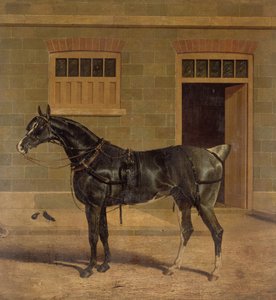 Unknown Image