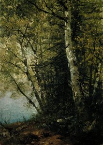 Study of Beeches, 1872