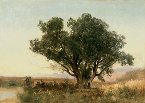 The Front Range, Colorado by John Frederick Kensett