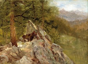 Western Landscape